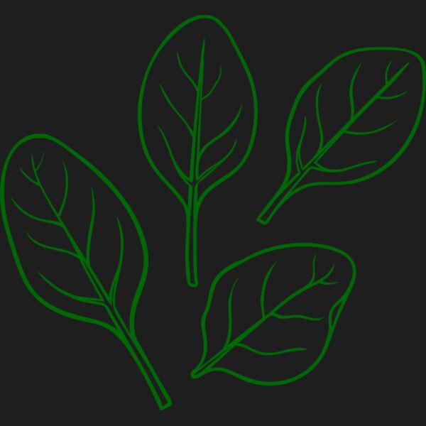 Spinach Thumbnail