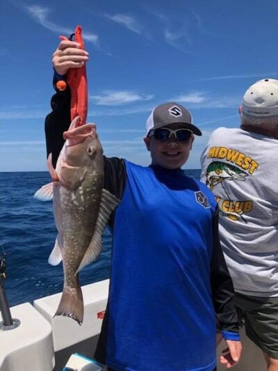 arts-gs.jpg Thumbnail